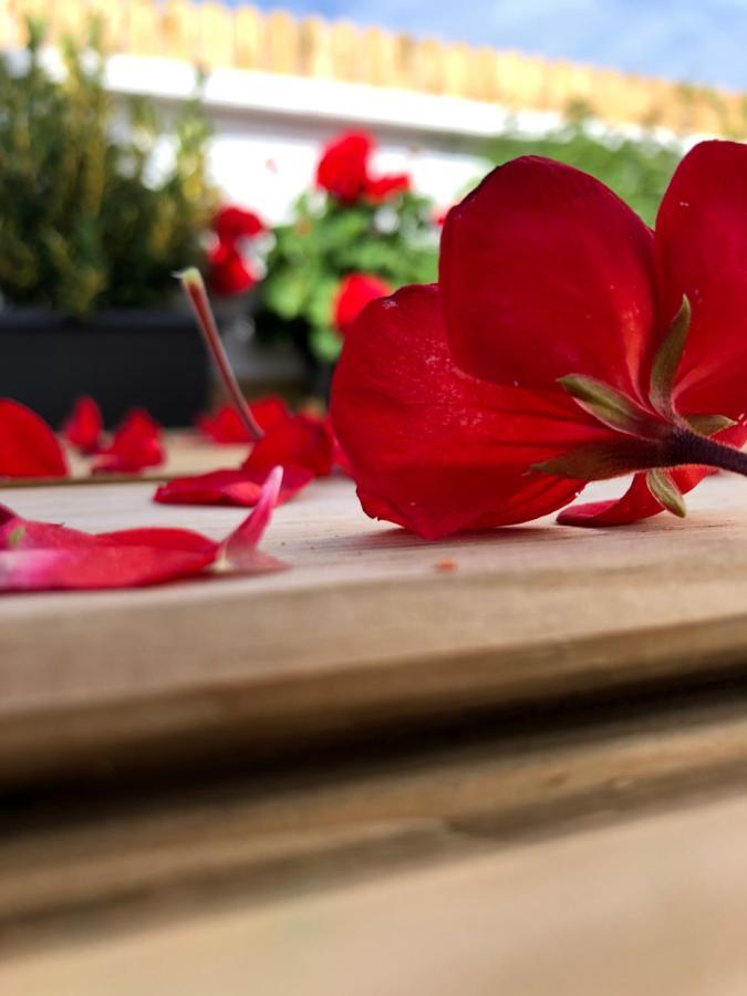 Holiday home Punta Brava Sun Puerto de la Cruz (Tenerife)