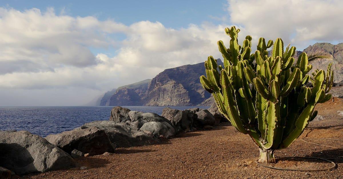 Hotel Melia Costa Atlantis Tenerife Puerto de la Cruz (Tenerife)