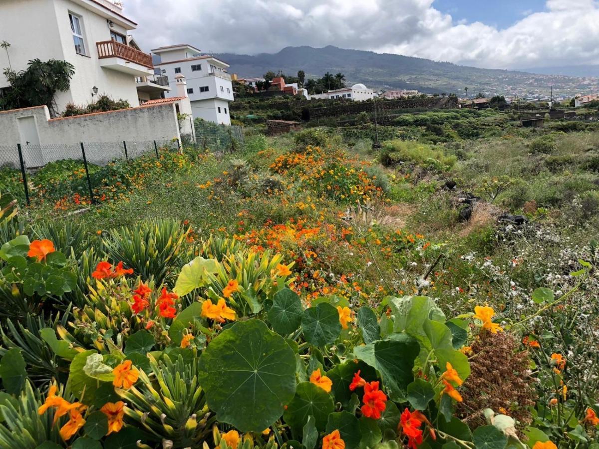 Residenz Traumblick Puerto de la Cruz (Tenerife)