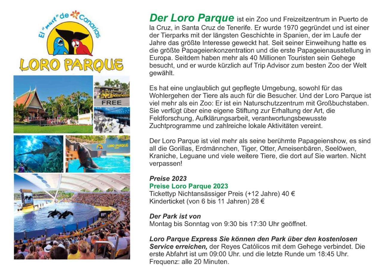- Sun House - Holidays - Apartamento