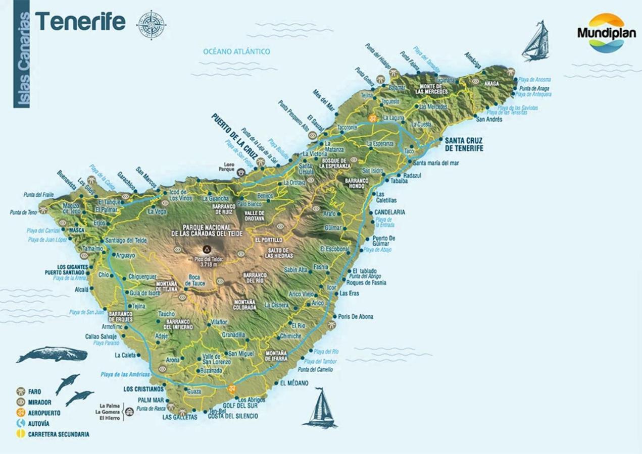 Apartamento - Sun House - Holidays - *