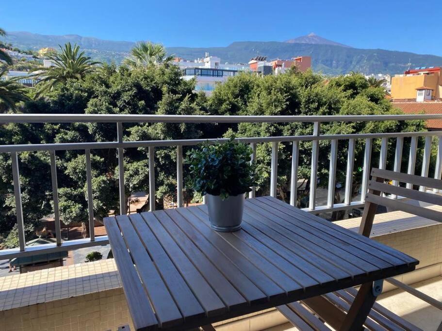 Apartamento Precioso Y Amplio Estudio En Plaza Del Charco