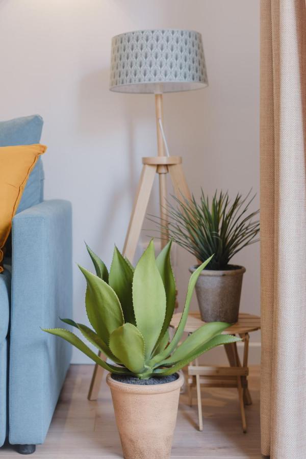 Acogedor En Apartamento
