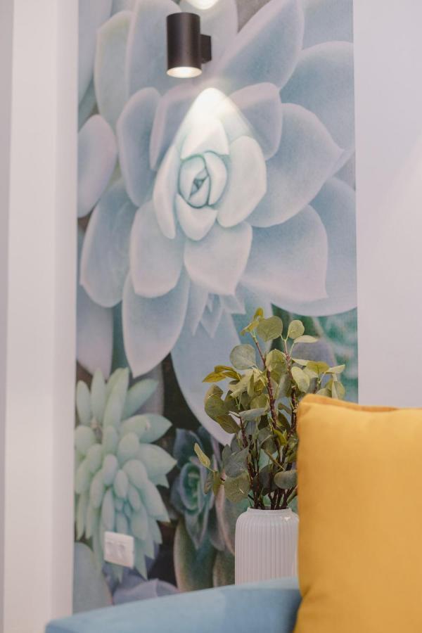 Acogedor En Apartamento
