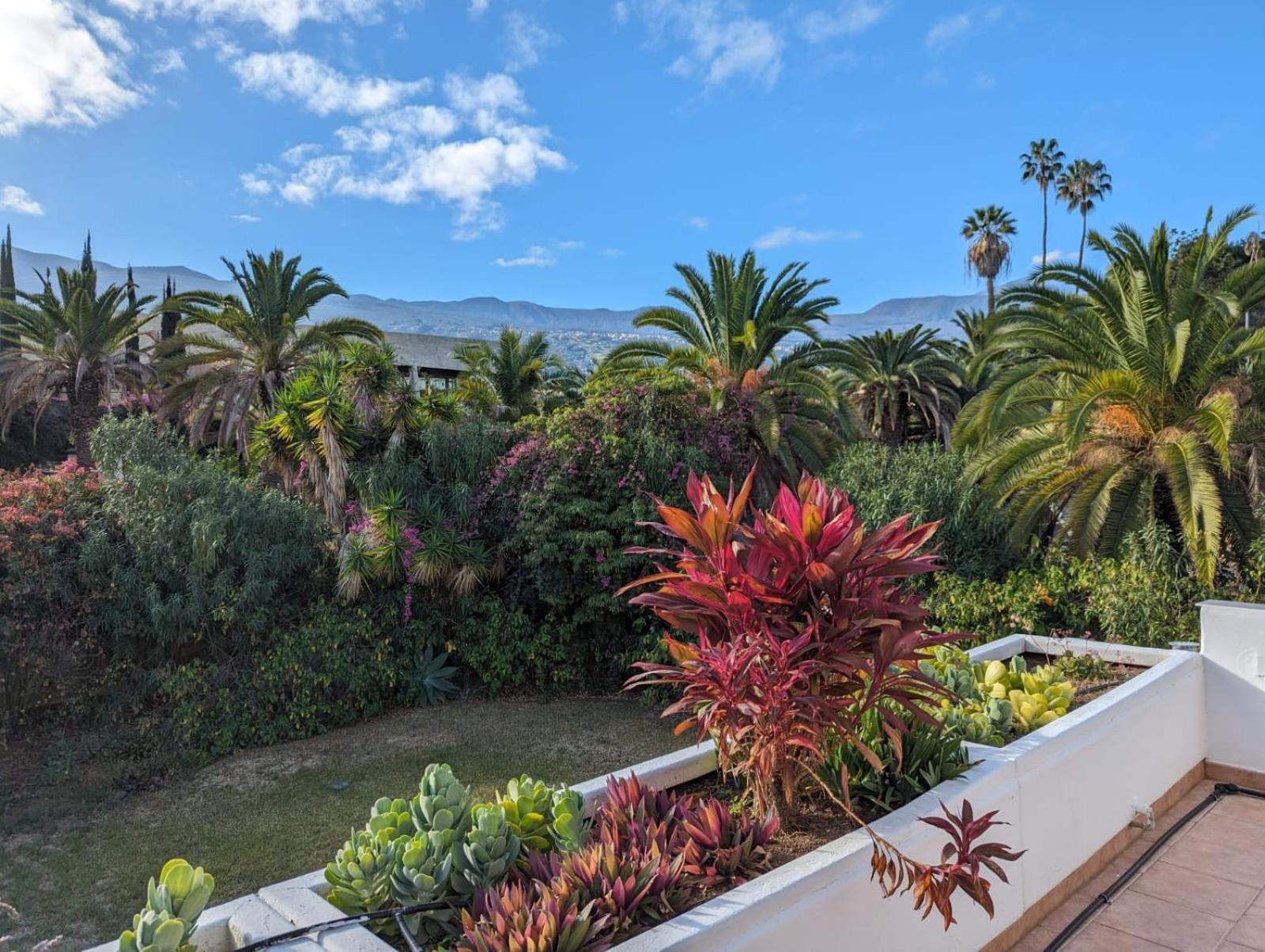 Apartment Schicke In La Paz,