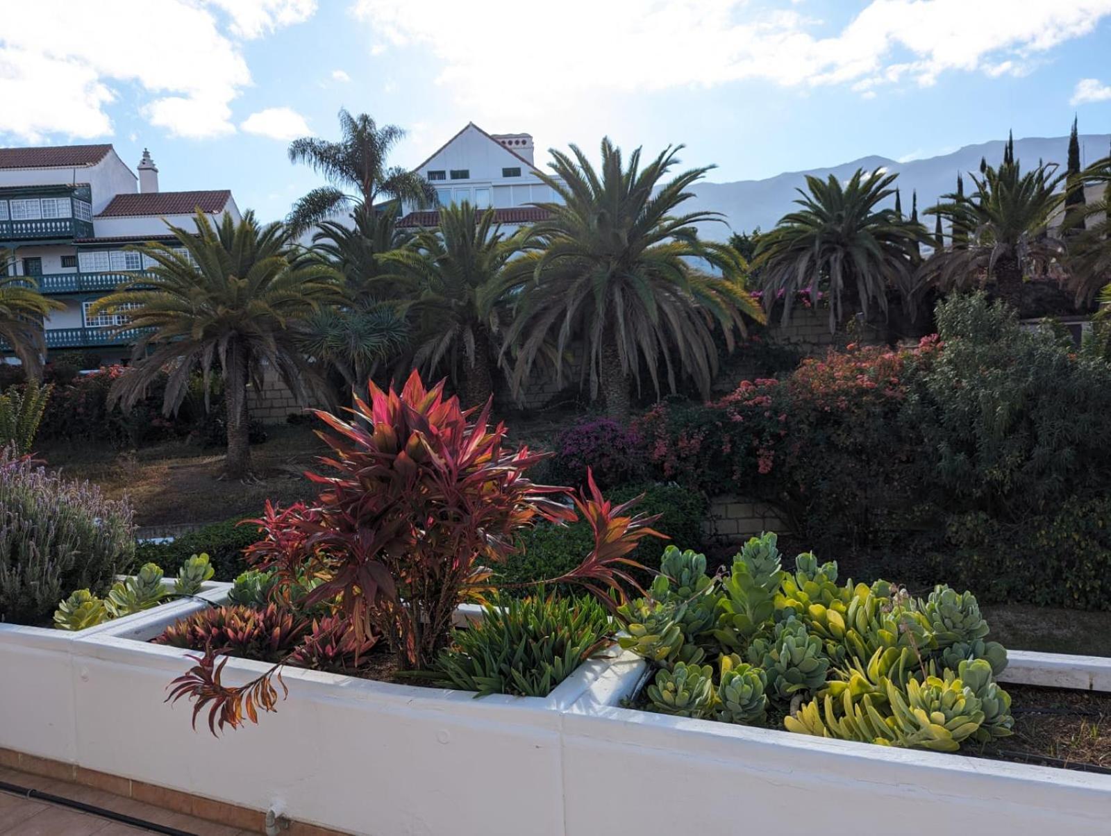 Apartment Schicke In La Paz, Puerto de la Cruz (Tenerife)