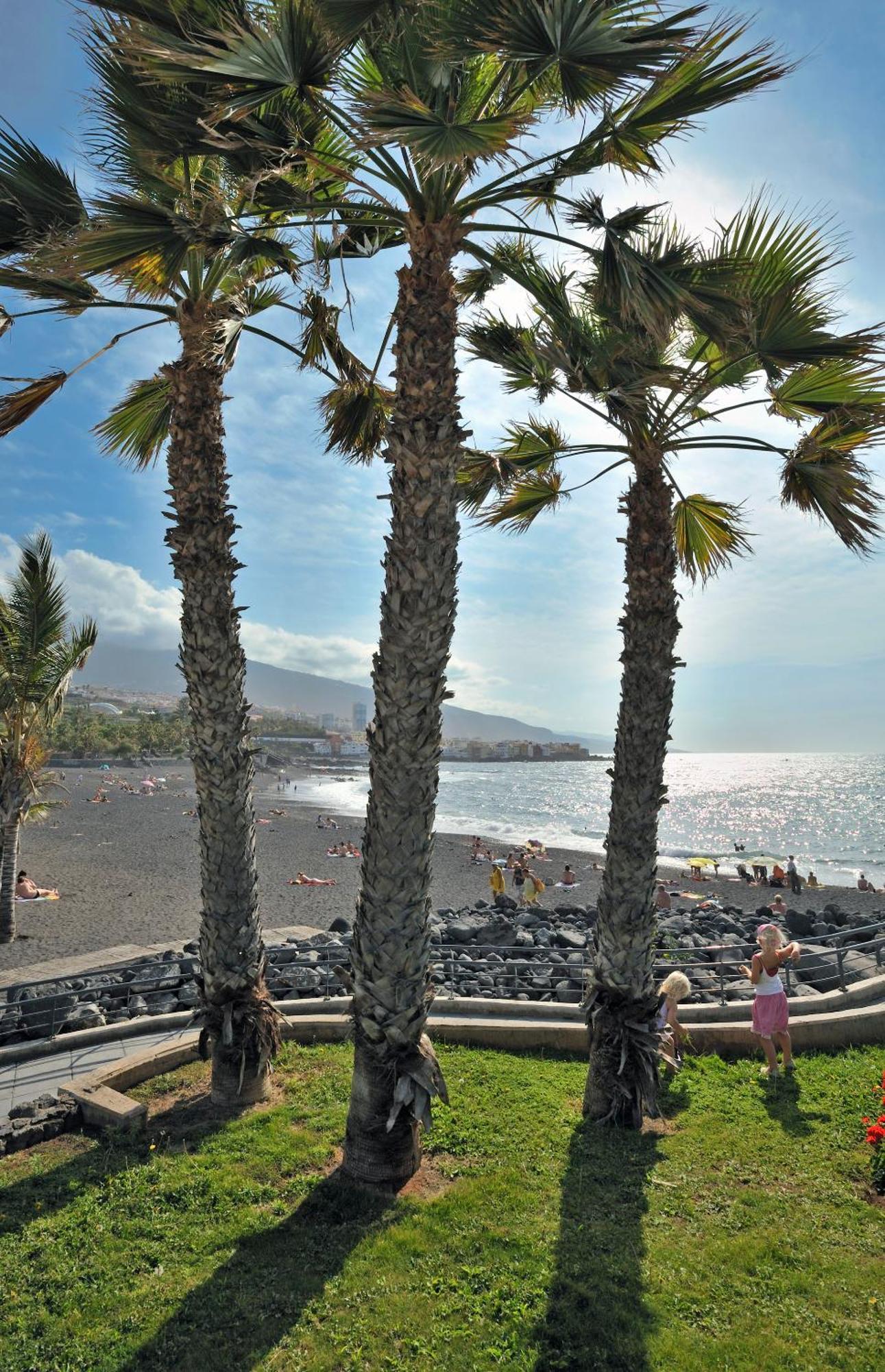 Sol Tenerife