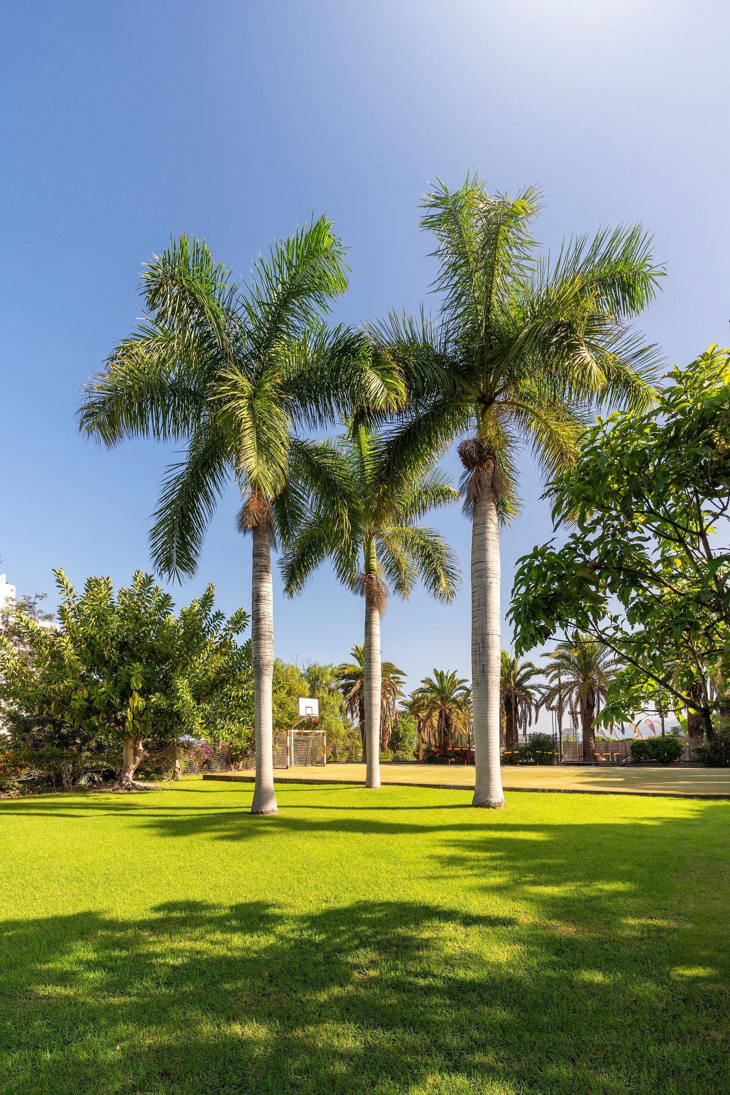 Precise Tenerife Hotel