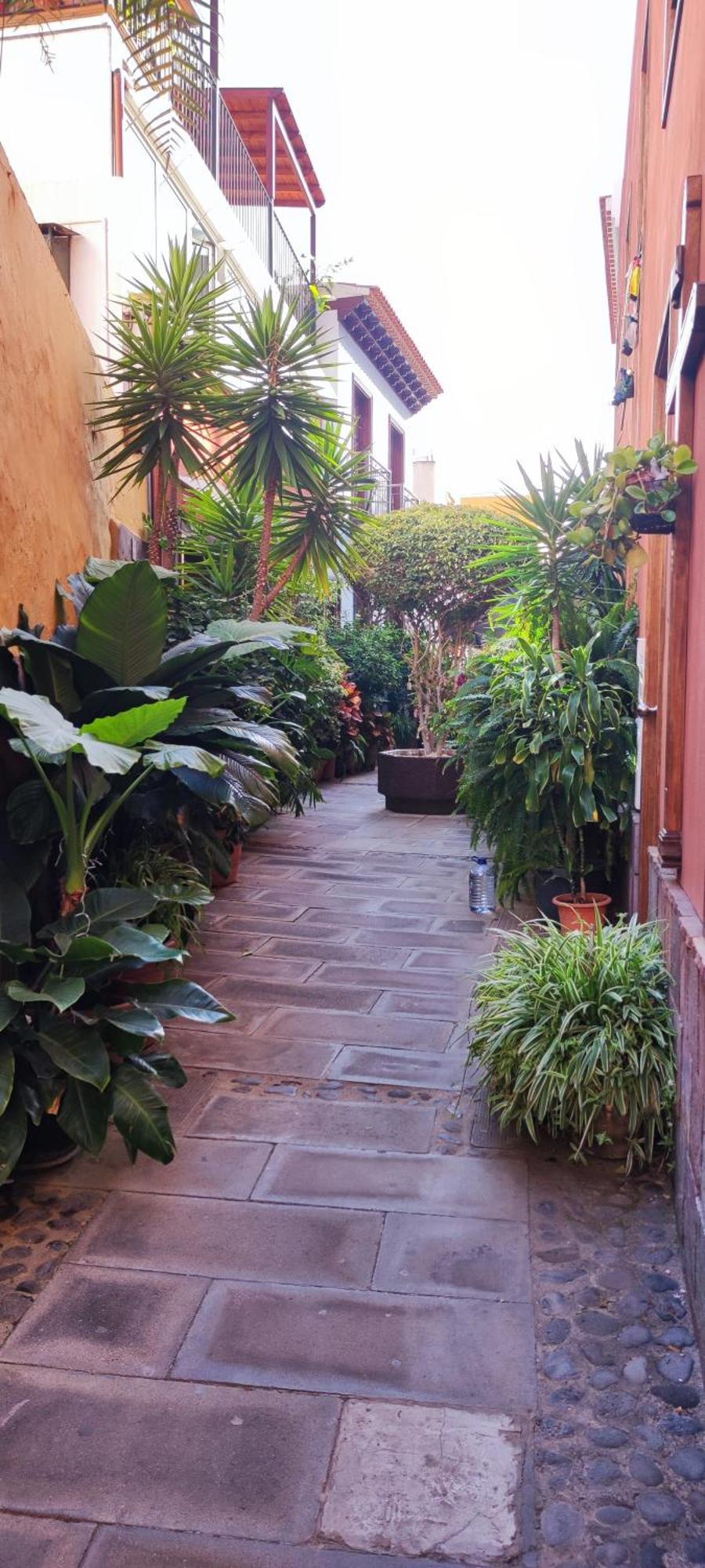 Apartment Teideplaya Puerto de la Cruz (Tenerife)