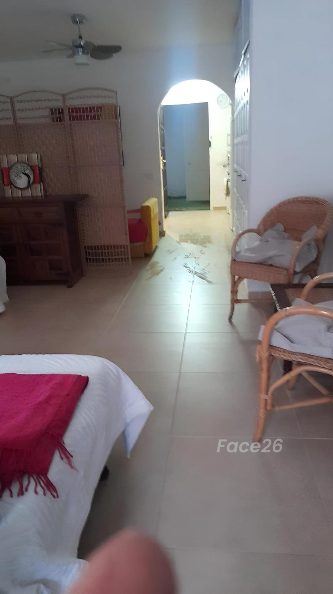 Picaflor Colibri Apartment