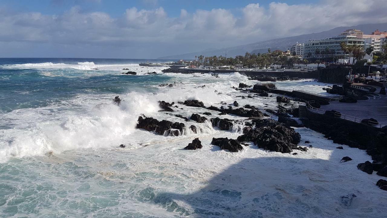 Rosmary * Puerto de la Cruz (Tenerife)