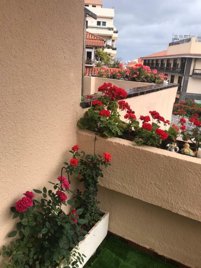Apartamento Puerto De La Cruz Puerto de la Cruz (Tenerife)