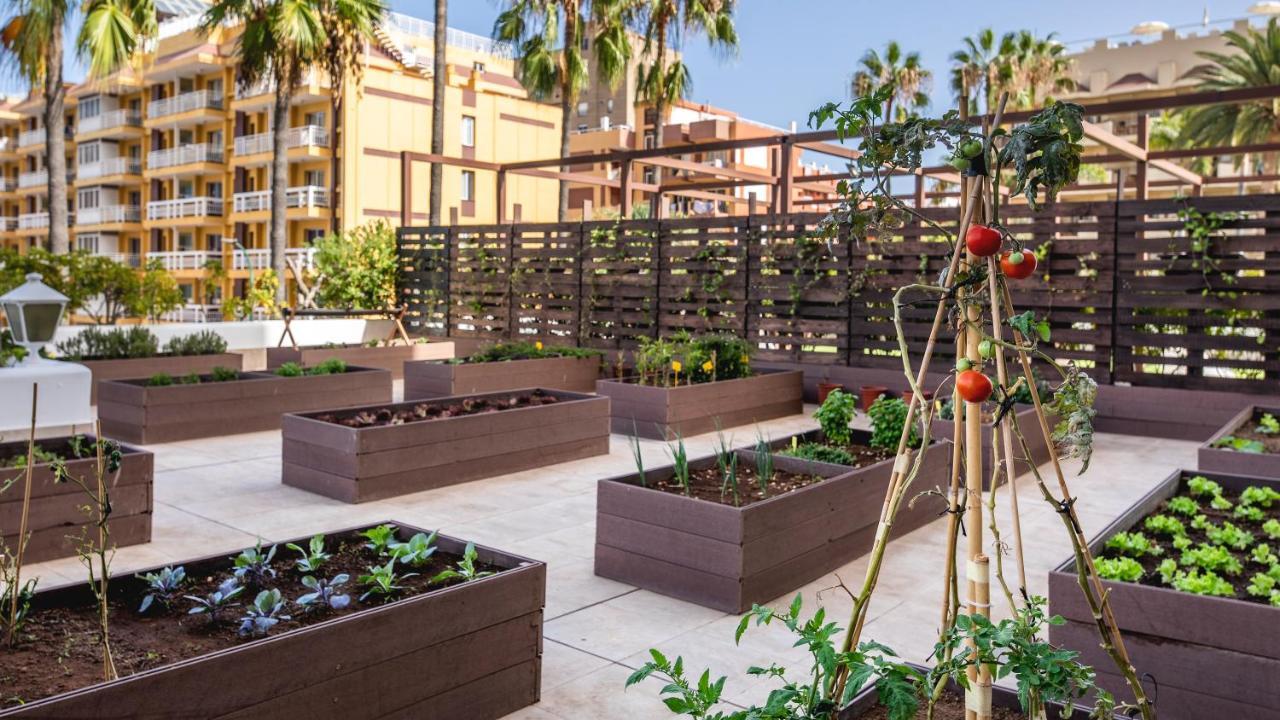 Hotel Be Live Adults Only Tenerife