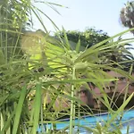 Puerto De La Cruz: Loft, Terraza Y Piscina