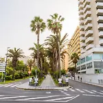 Live Puerto De La Cruz Las Palmeras