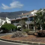 Violetas Del Teide