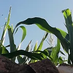 Finca Las Tapias, Casa Mane