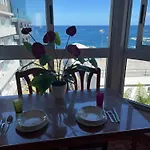Vista Rosmary