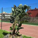 Estudio Playa Jardin