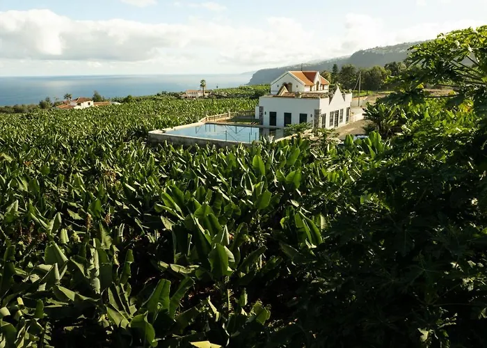 Hacienda Los Orovales