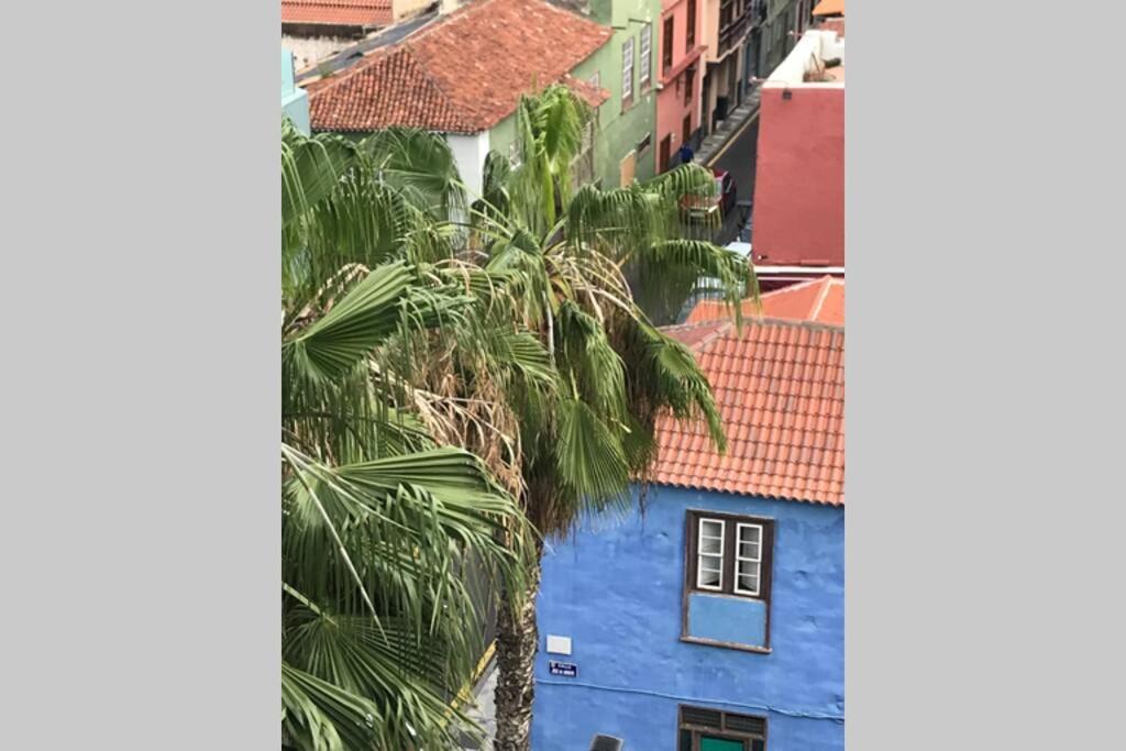 Tele-working. Central. Gran Balcon. Vistas. Appartement