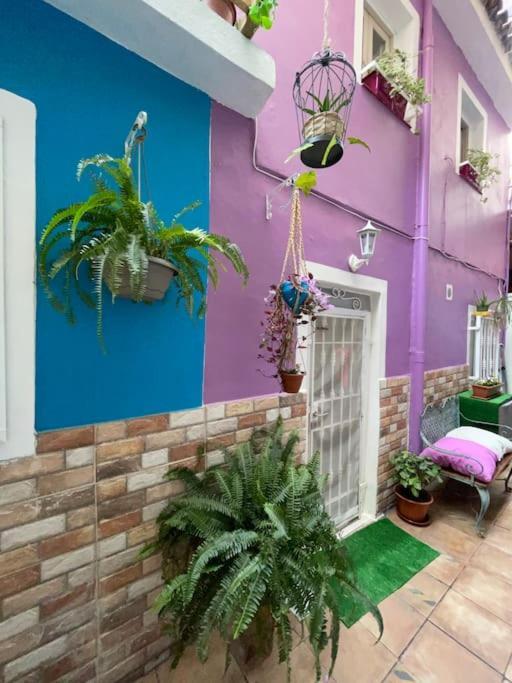 Casa Dionea, Puerto De La Cruz Сasa de vacaciones