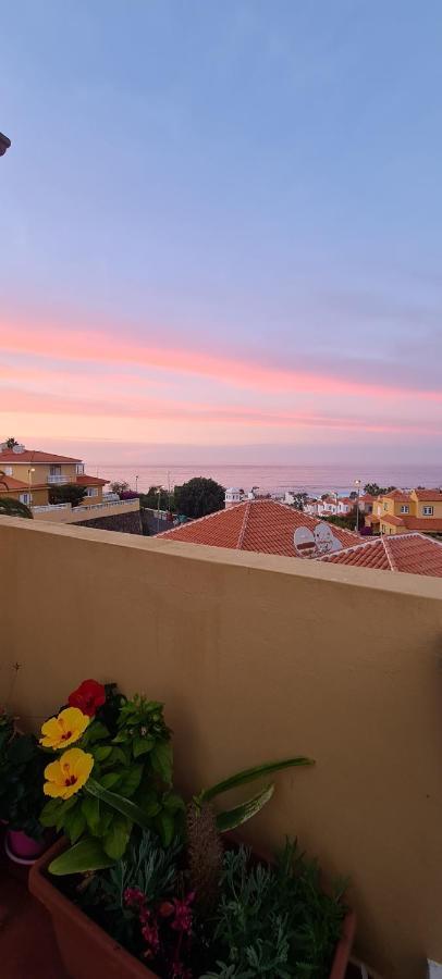 Apartment Puerto Cruz Near Puerto de la Cruz (Tenerife)