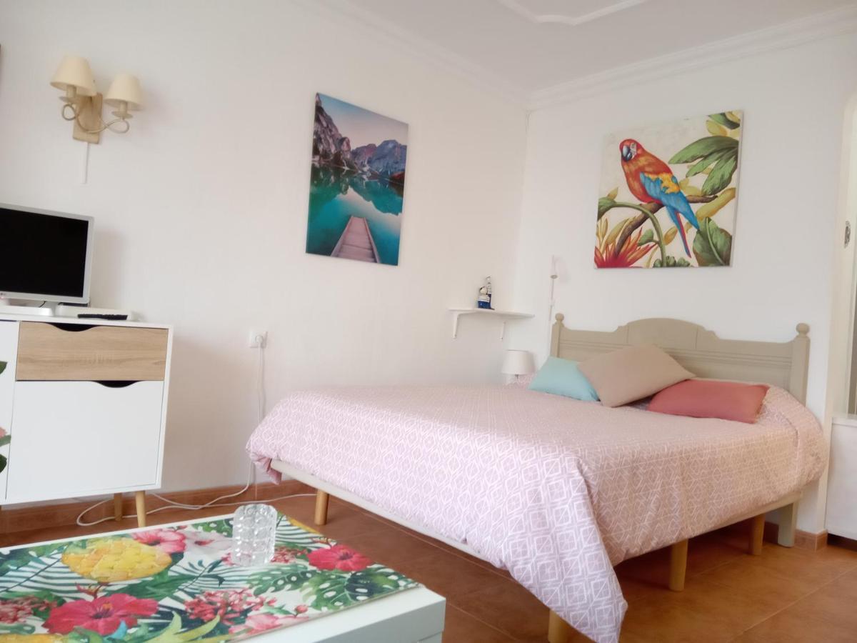Appartement Luminoso Y Tranquilo Estudio Zona Botanico Puerto de la Cruz (Tenerife)