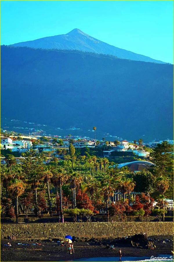 Apartment Tommy's Wifi & Central Puerto de la Cruz (Tenerife)