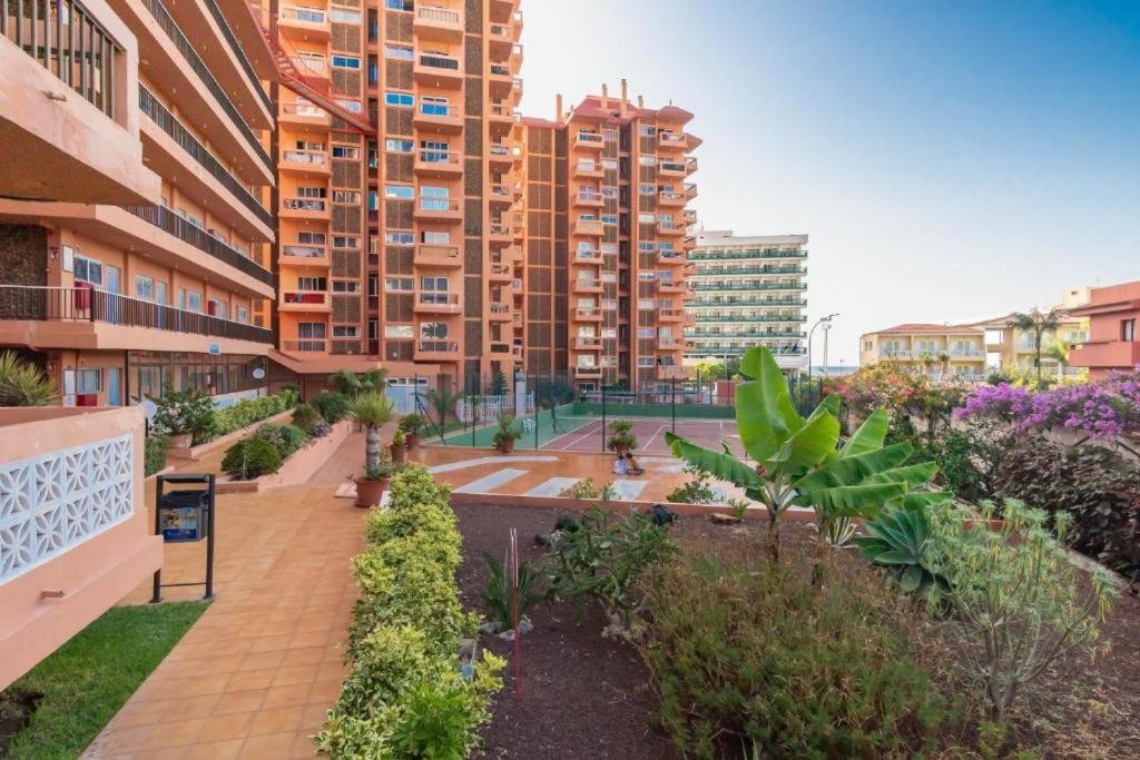 Avc Valle Luz *