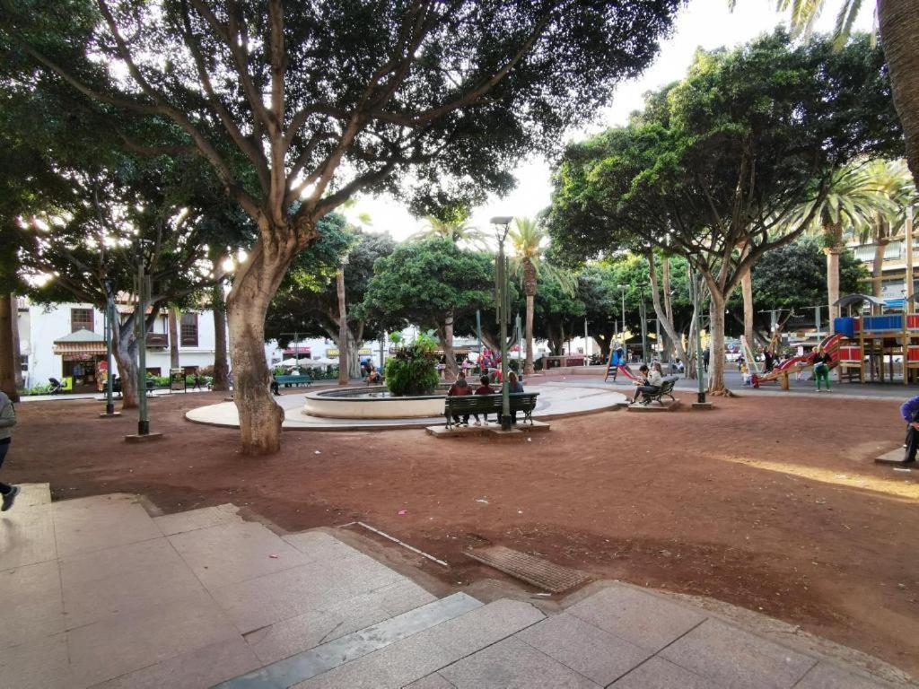 Apartment Avc Valle Luz Puerto de la Cruz (Tenerife)