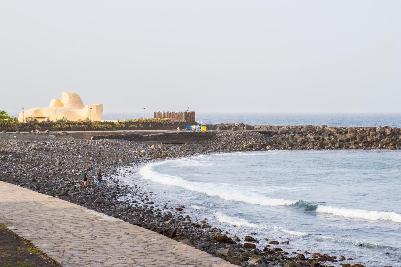 Live Palmeras Puerto de la Cruz (Tenerife)