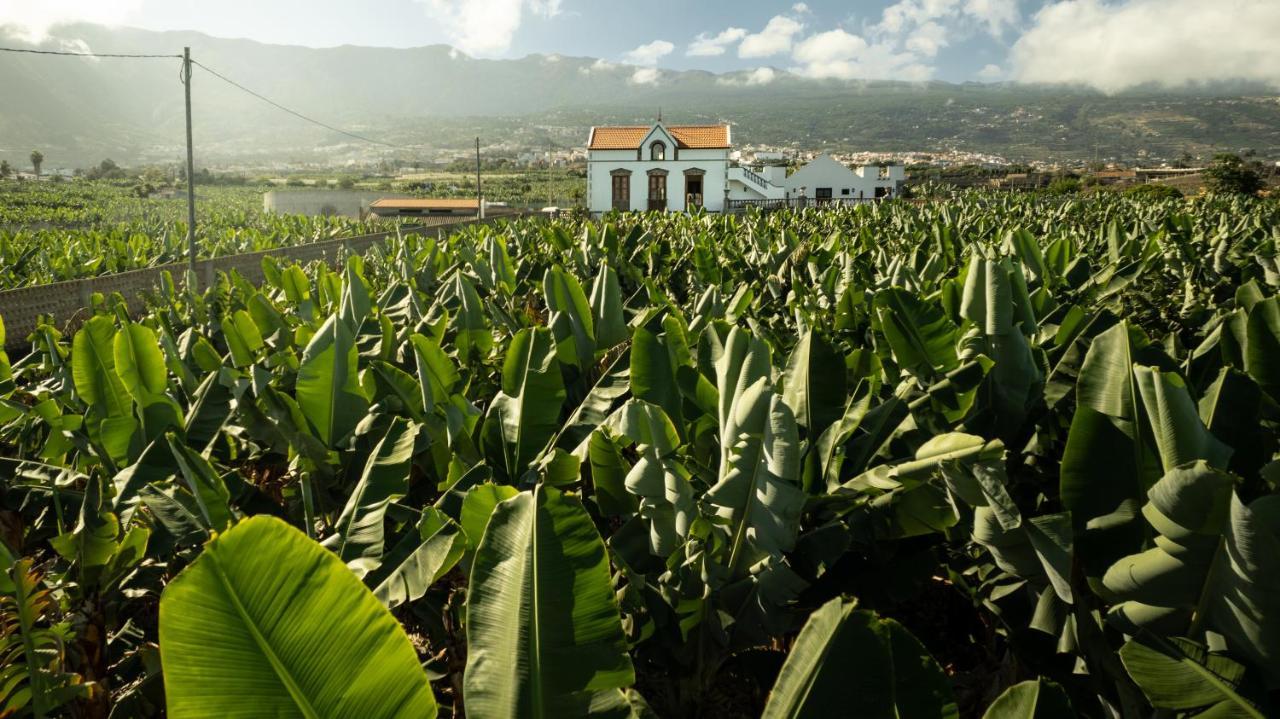 Villa Hacienda Orovales Puerto de la Cruz (Tenerife)