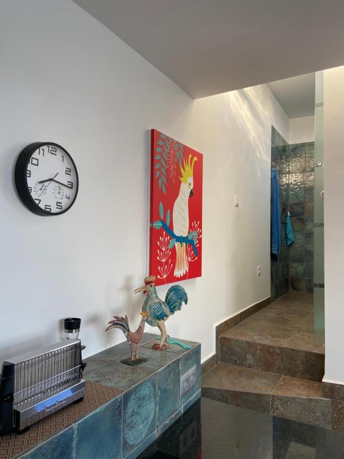 Oasis La Paz - Acaymo Loft - Adults Only - Apartment Puerto de la Cruz (Tenerife)