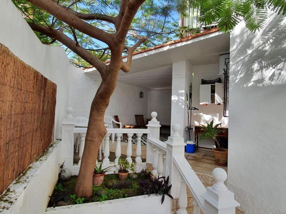 Luminoso Con Patio Y Jardin Căn hộ Puerto de la Cruz (Tenerife)
