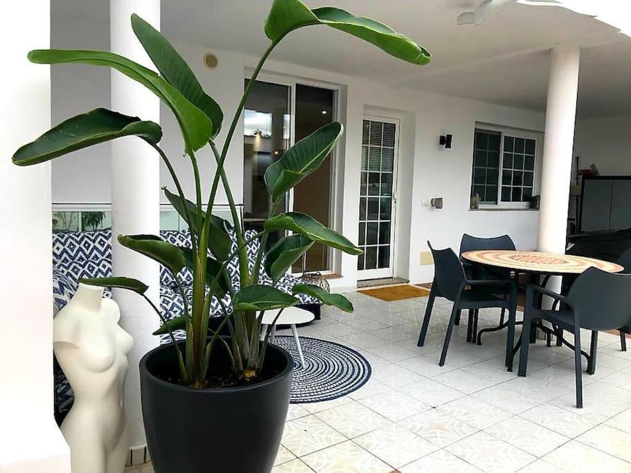 Pura Vida Strandnahes Ferienappartment In Bester Lage! Apartamento Puerto de la Cruz (Tenerife)