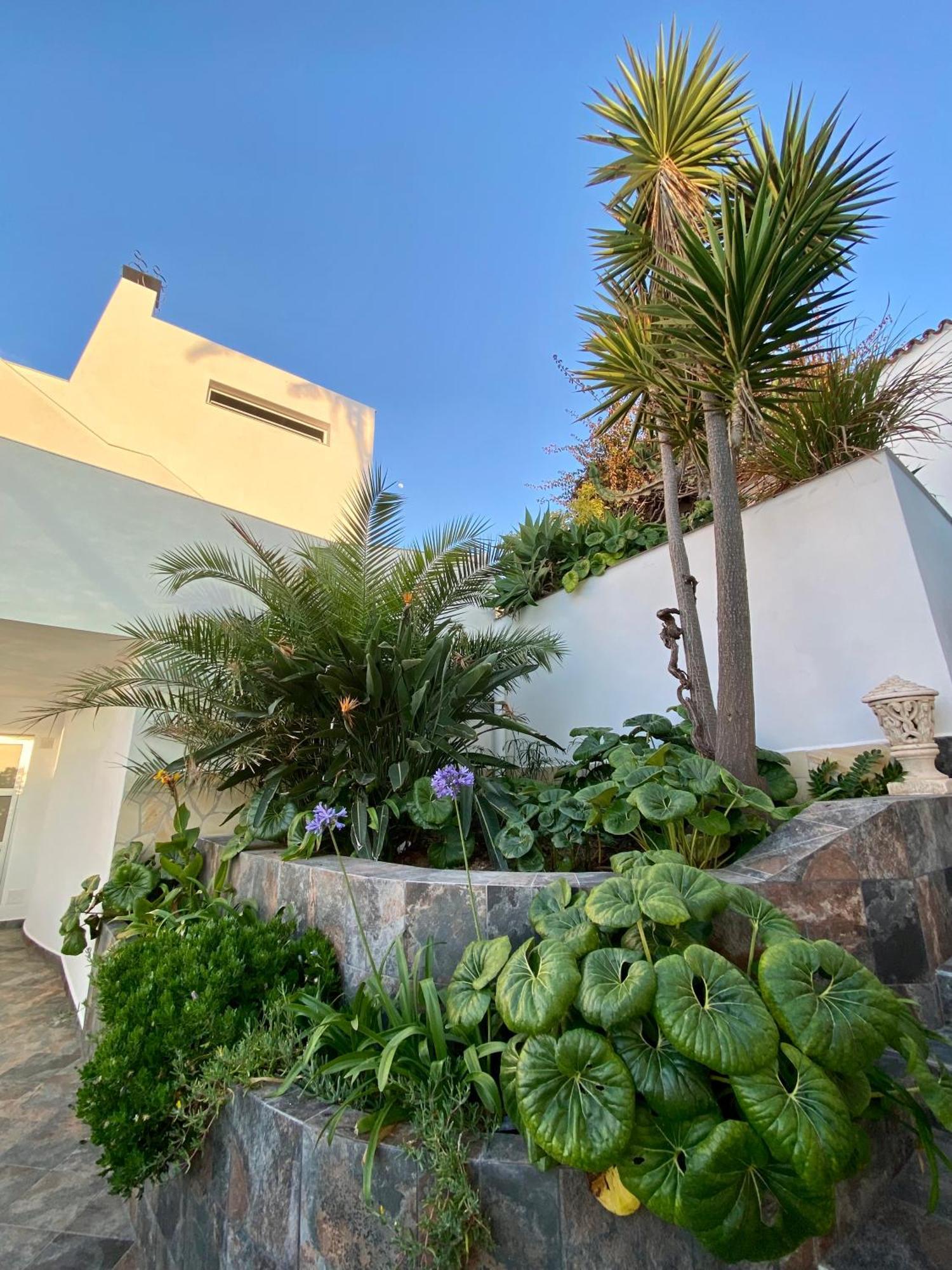 Oasis La Paz - Acaymo Loft - Adults Only - * Puerto de la Cruz (Tenerife)