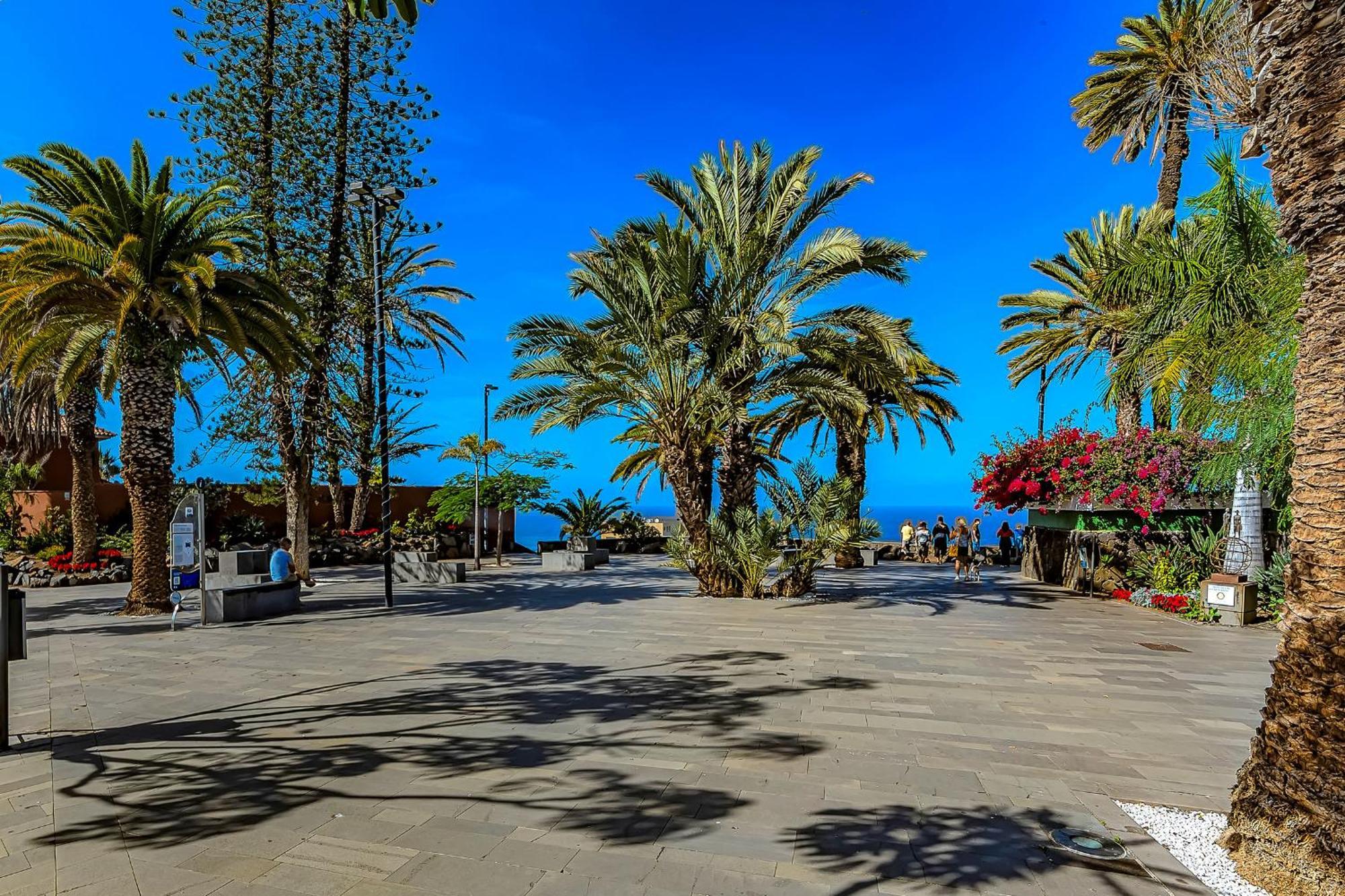 Vistas Al Teide Y Al Mar 4