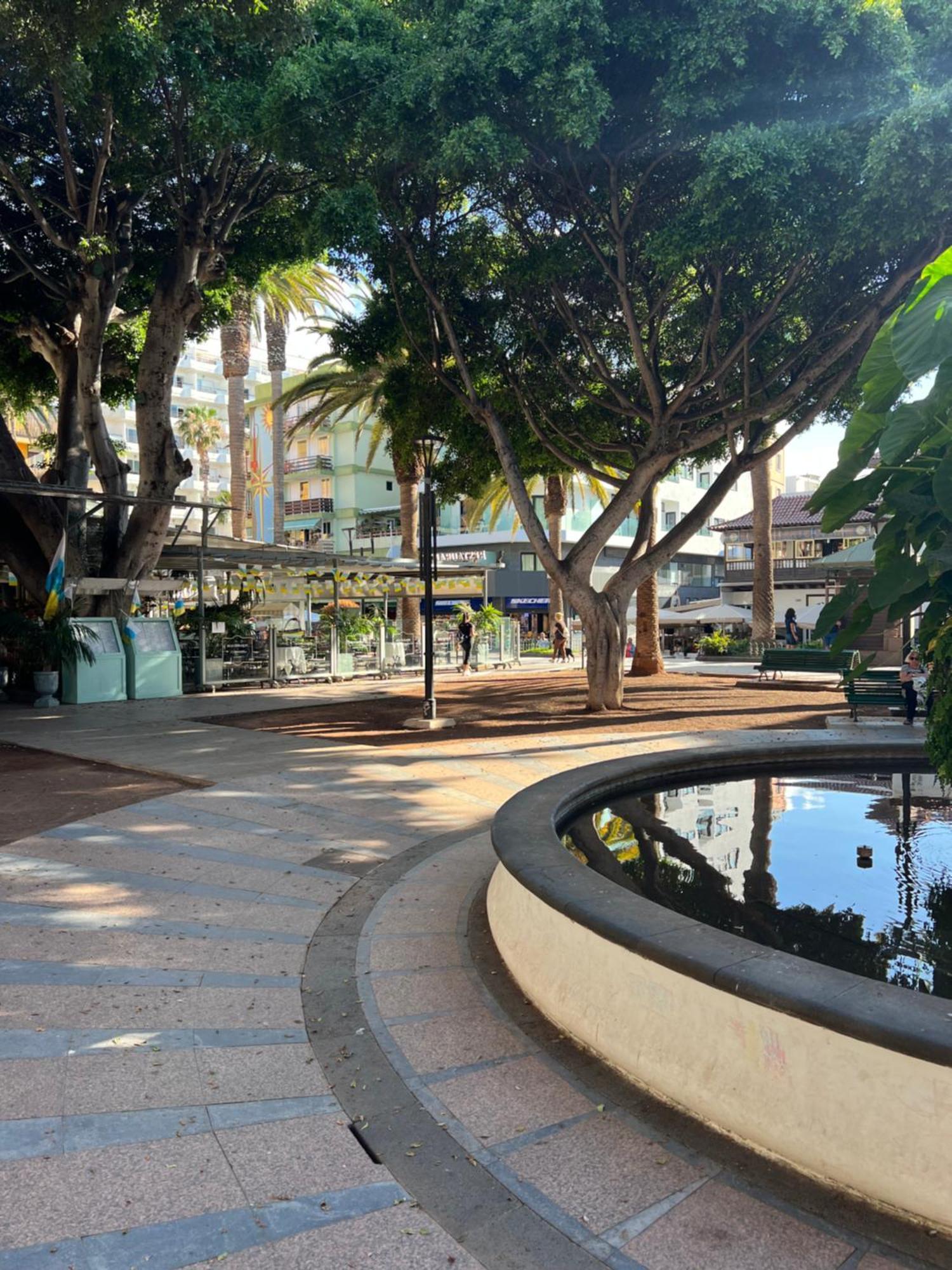 Apartment Estudio En Plaza Del Charco
