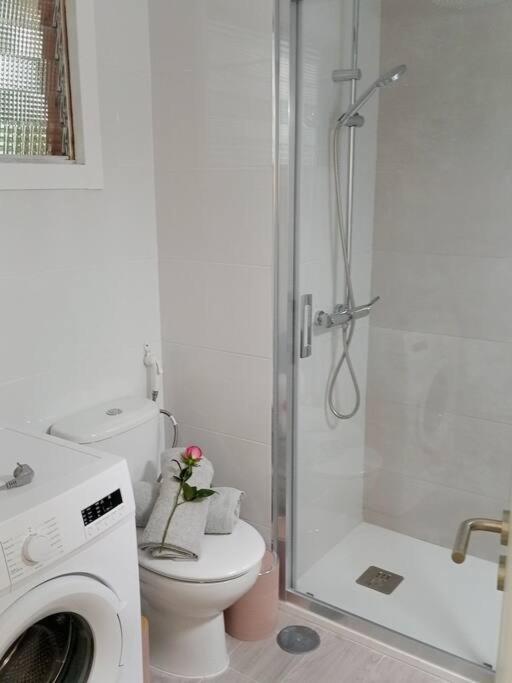 Apartment Centrico Y Encantador Estudio En Puerto de la Cruz (Tenerife)