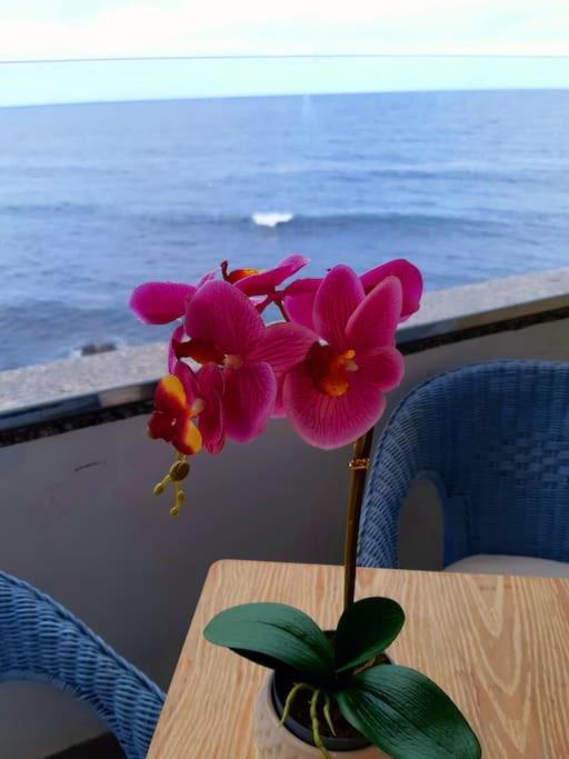 Apartamento Ocean Orchidea Puerto de la Cruz (Tenerife)