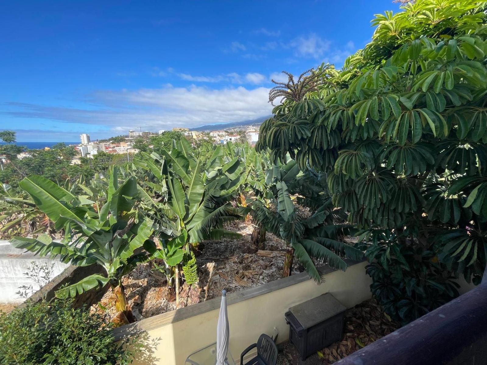 Apartment Vistamar