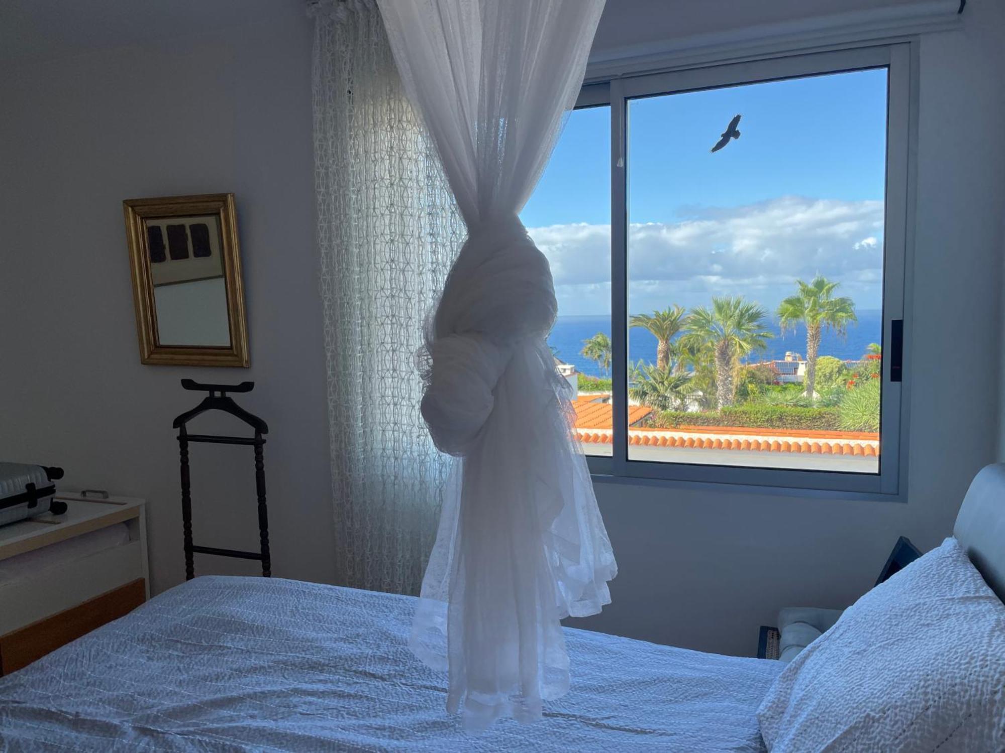 Teide & Atlantic View Accommodatie bij particulieren *
