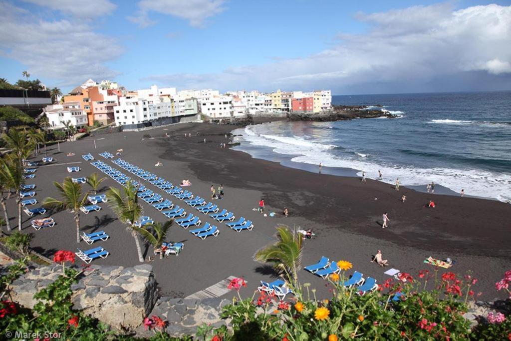 Estudio Girasol Apartment