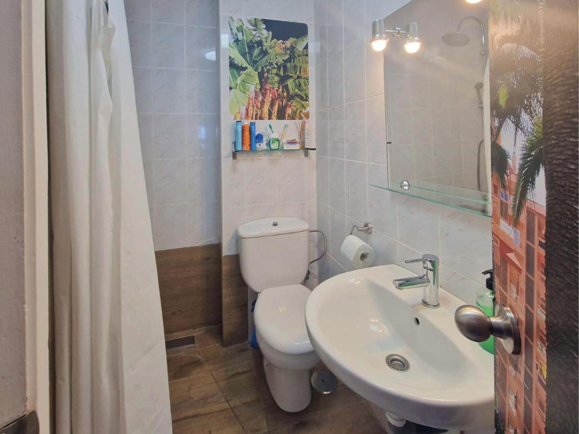 Live Apartment Puerto de la Cruz (Tenerife)