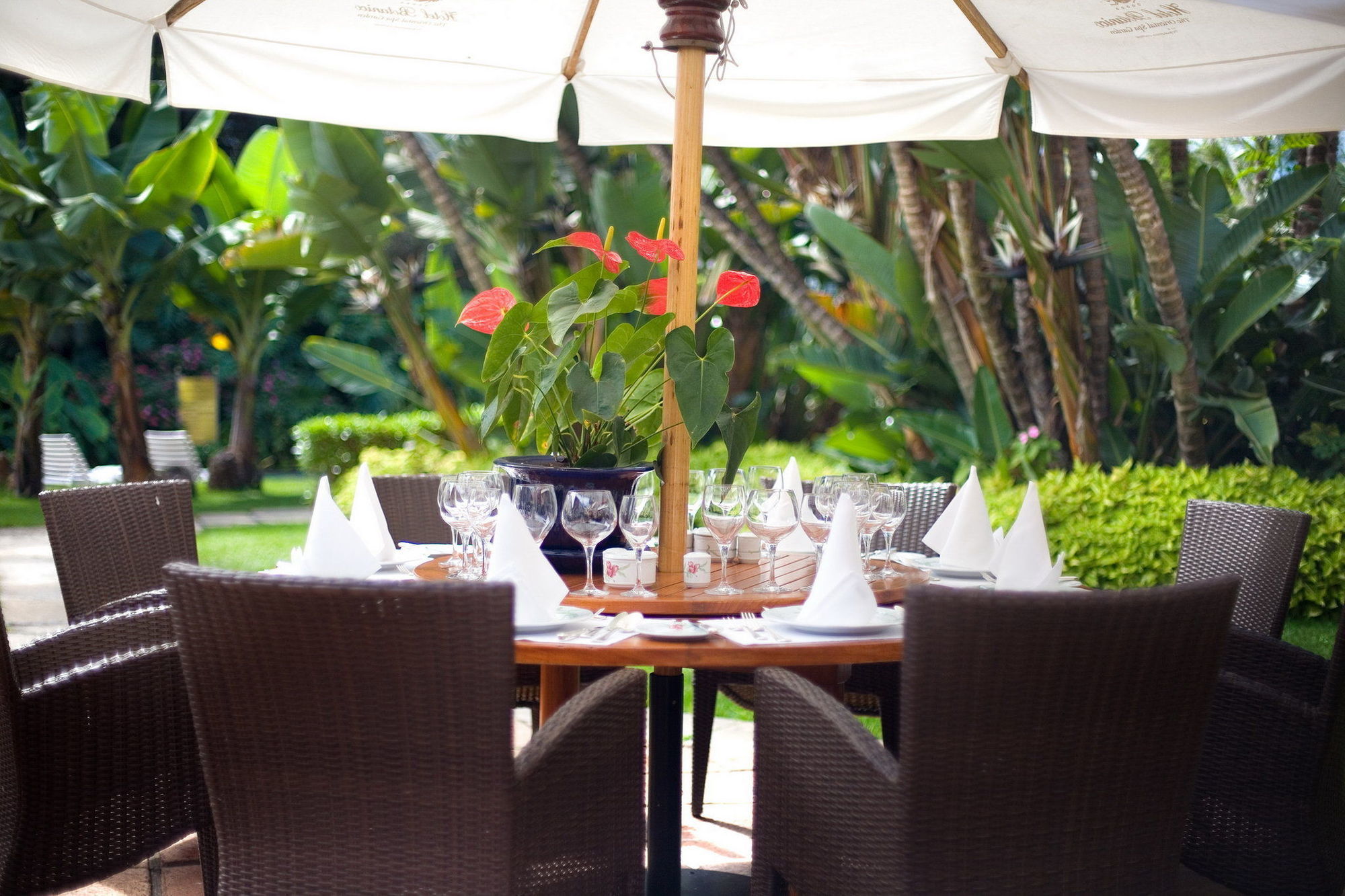 Hotel Botanico Y Oriental Garden
