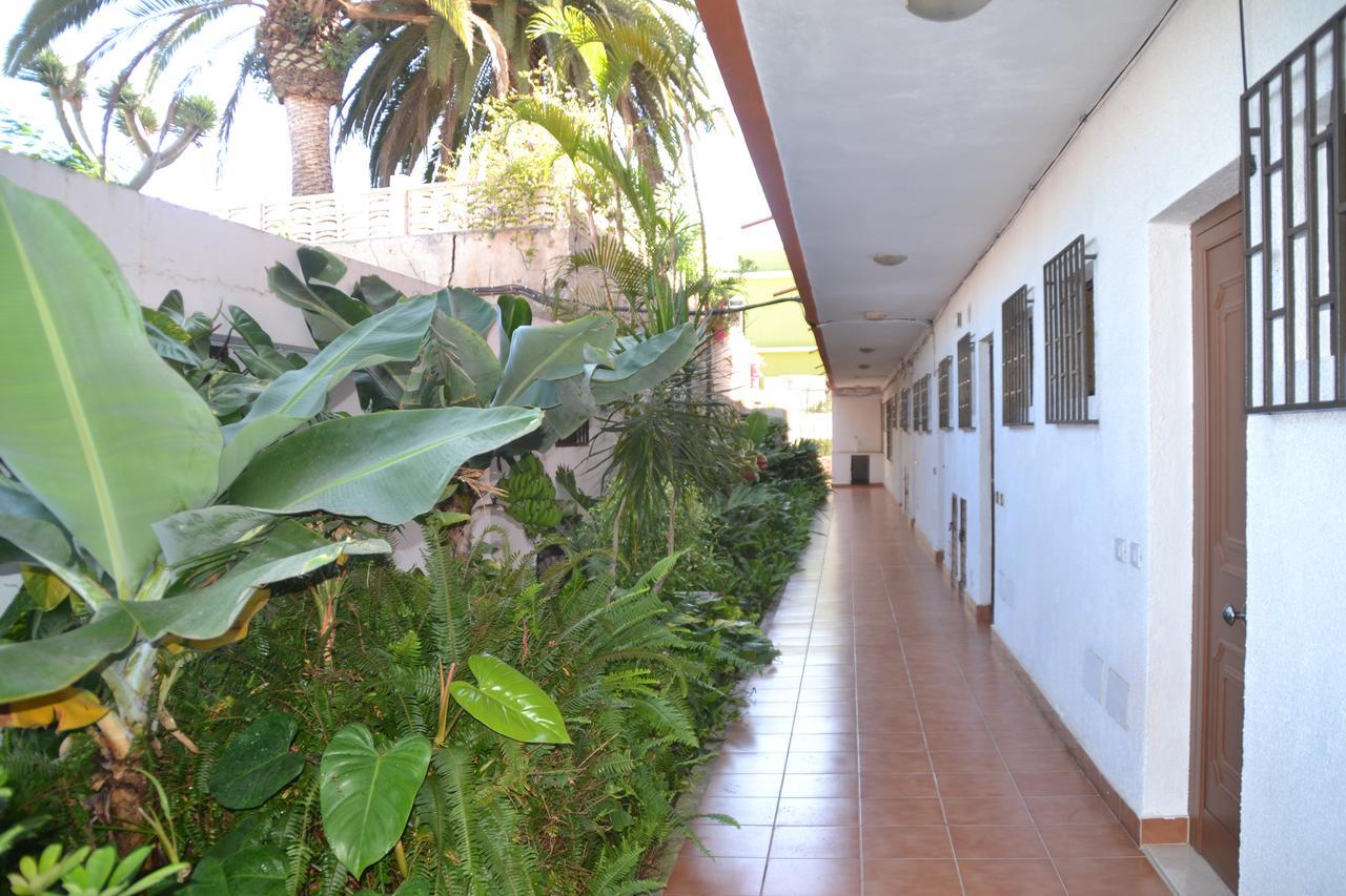 San Miguel Beach Puerto Apartment