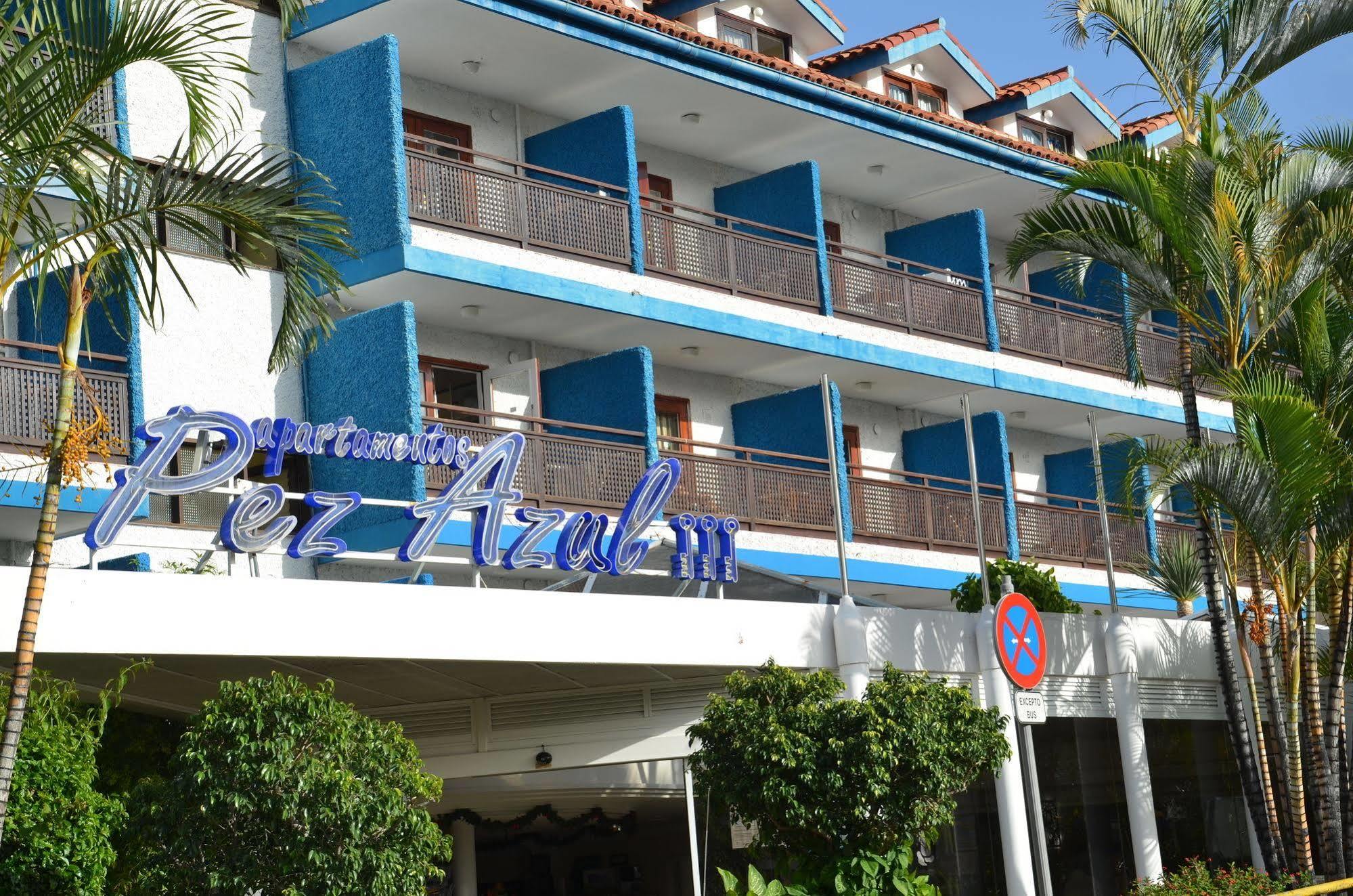 Pez Azul Puerto de la Cruz (Tenerife)