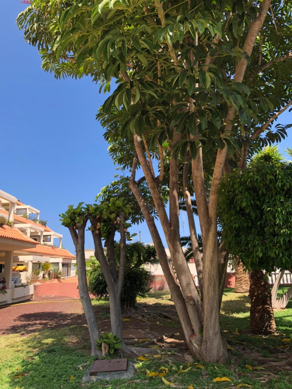 Bahia Playa