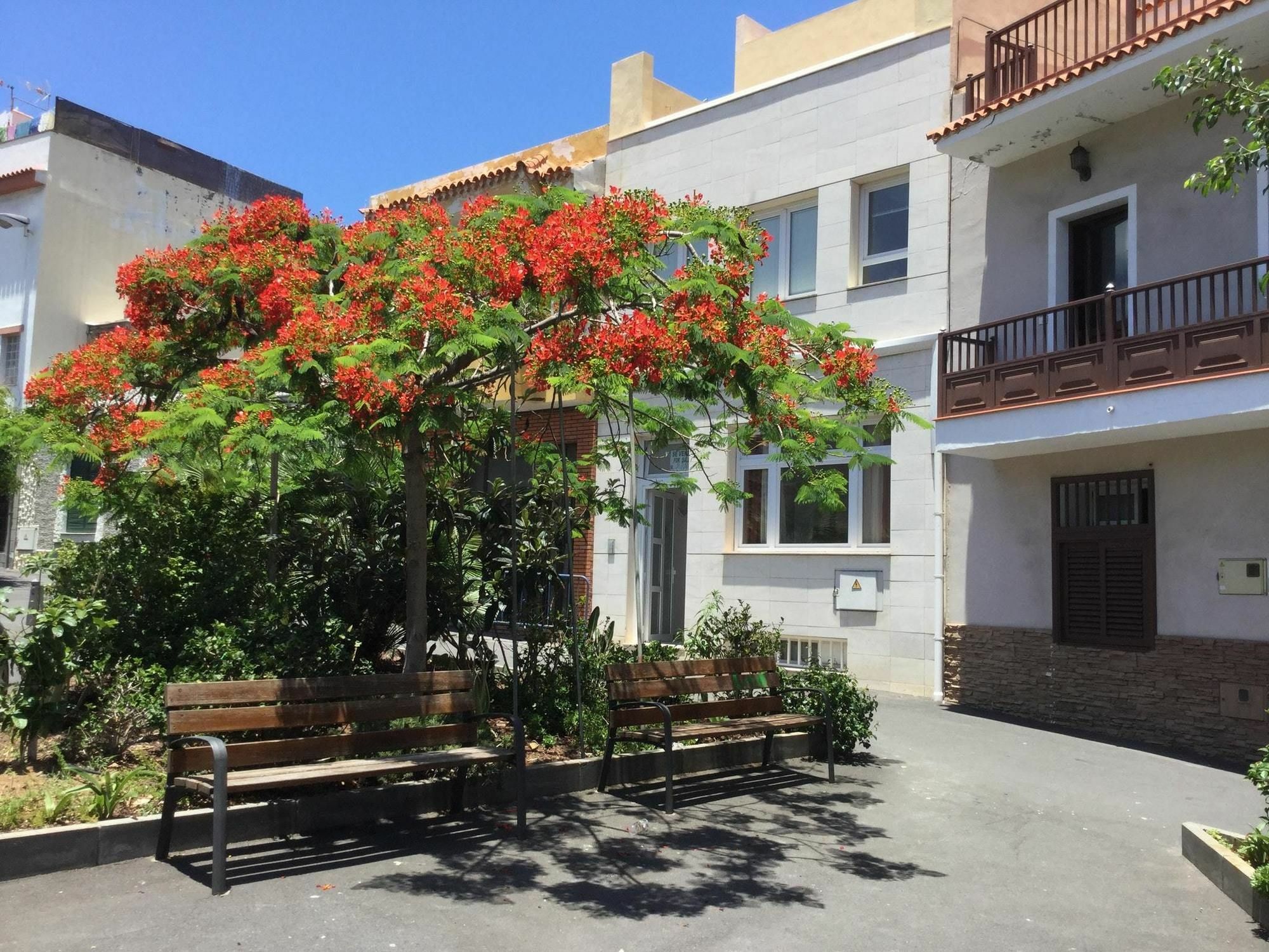 Apartment With 3 Bedrooms In Puerto De La Cruz, With Wifi - 300 M From Puerto de la Cruz (Tenerife)